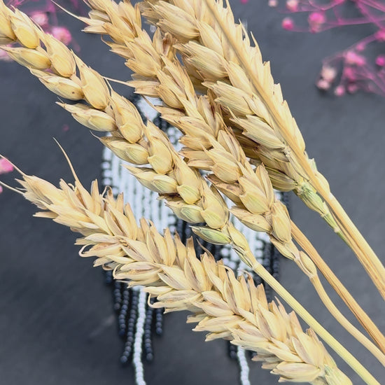 Handmade long black and white beaded fringe earrings in Native American boho style. Statement earrings for women, unique beadwork ethnic design video 1