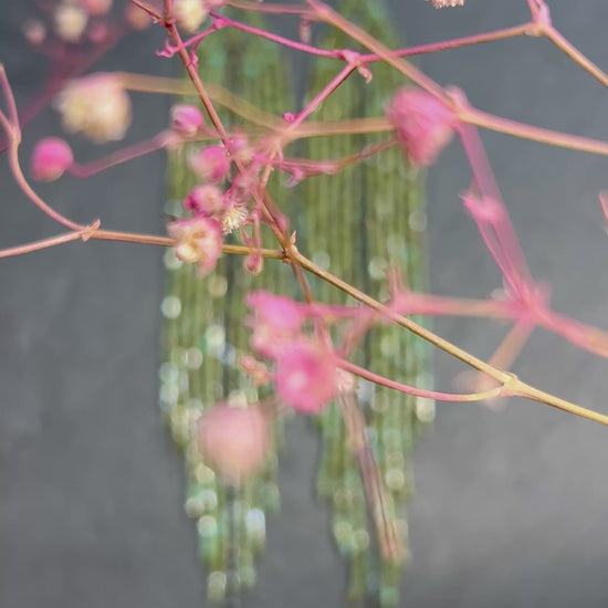 Long handmade green beaded earrings with fringe. Boho statement jewelry in natural shades, unique accessory for minimalist and artistic style video 1